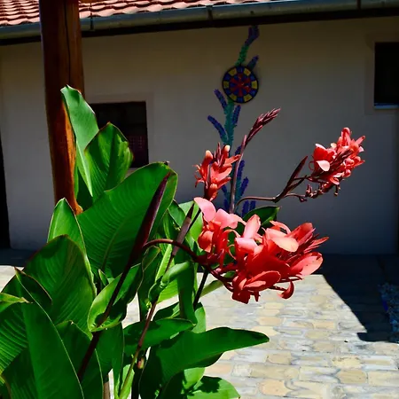 Roza Tatil Evi Subotica