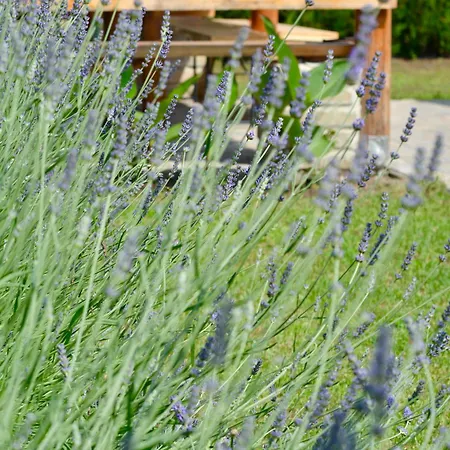Holiday home Roza Subotica