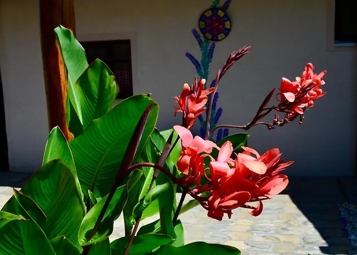 Roza Ferienhaus Subotica